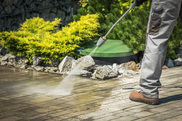 Best Driveway Pressure Washing  in Lutherville, MD